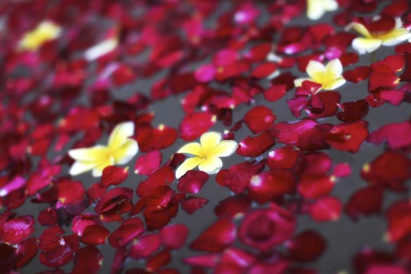 Kecapi Villa Seminyak By Ini Vie Hospitality Eksteriør bilde